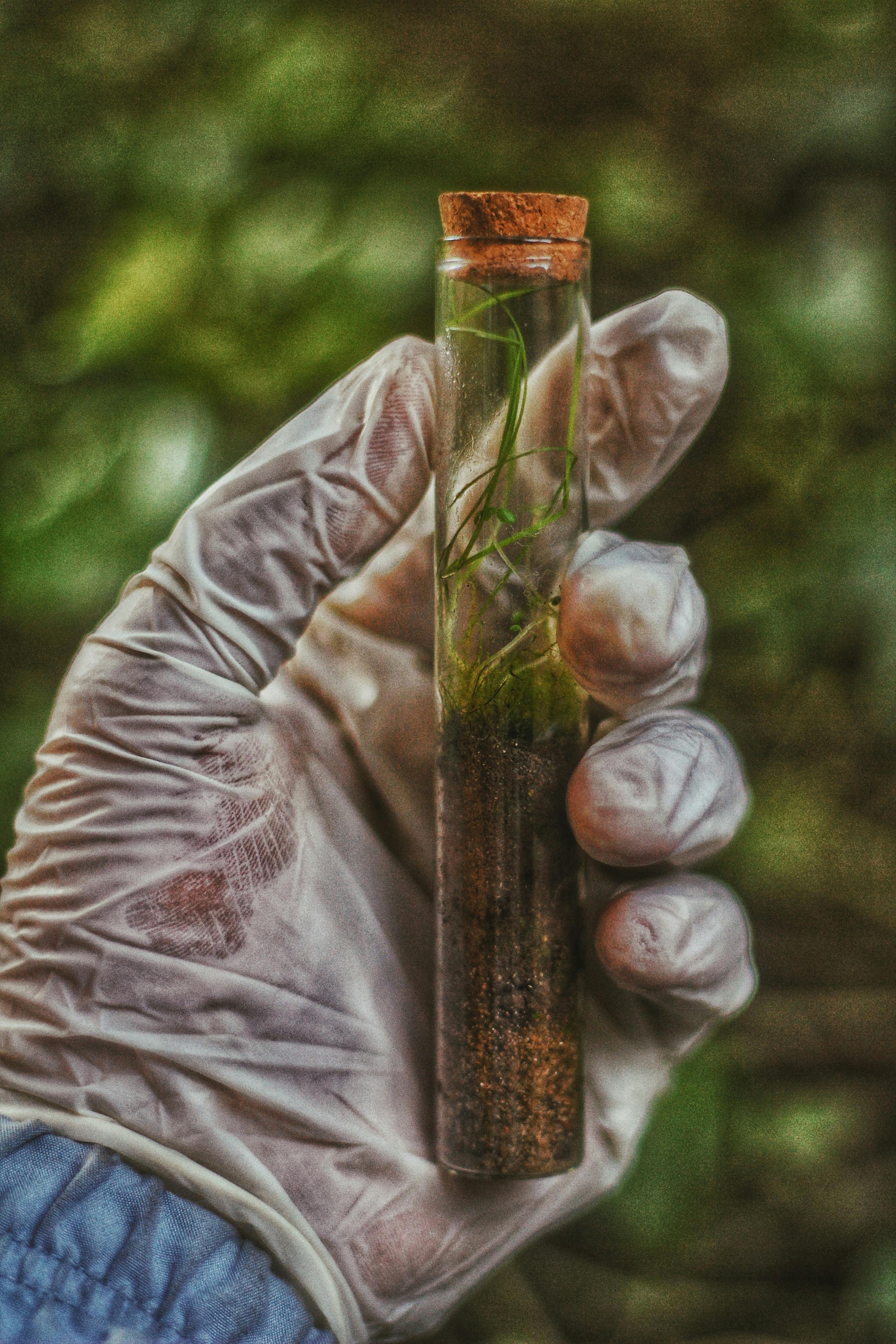 Photo by Andy Andrians: https://www.pexels.com/photo/a-hand-wearing-gloves-holding-glass-tube-with-plant-12413454/